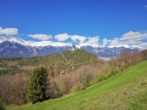 Freilandfläche mit großem Altbestand in Innsbruck, KG Wilten - Titelbild