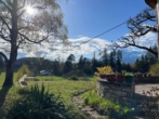 Bild - Parkähnliches 360°-Panoramagrundstück in Aldrans