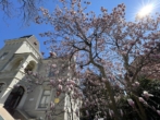 Immobilienmakler Innsbruck - Ihr Immobilienmaklerbüro in Bestlage von Innsbruck, sehr gut erreichbar